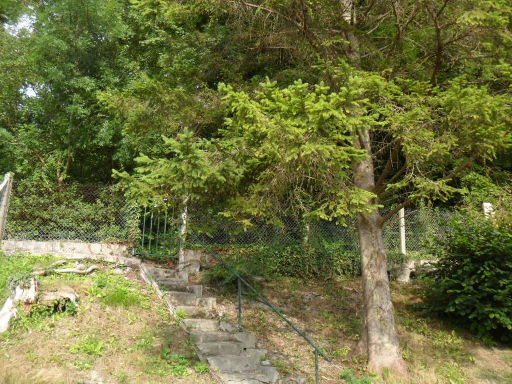 Gite L Oree De La Foret Incheville Bagian luar foto